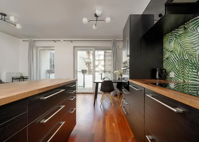 Apartment Black And Brown With Free Parking And Furnished Balcony In By Renters